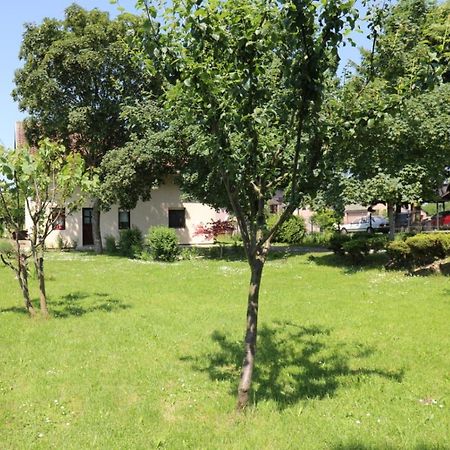 Maple Place 大戈里察 外观 照片
